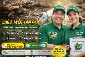 diỆt mỐi tẬn gỐc 365 1