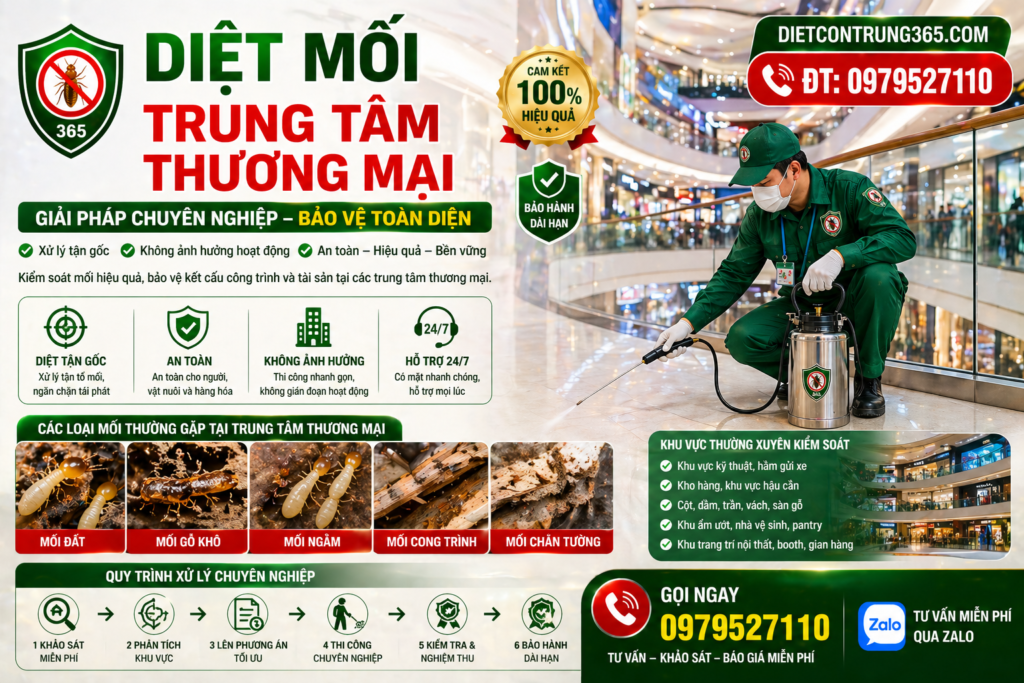 diet moi tủn gtam thuong mai